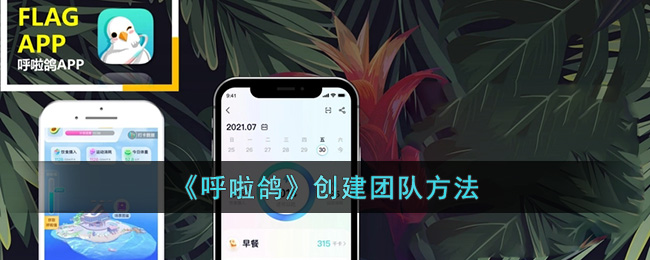 《呼啦鸽》创建团队方法