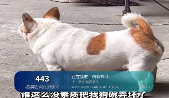 芸汐影视TV软件最新版图片1